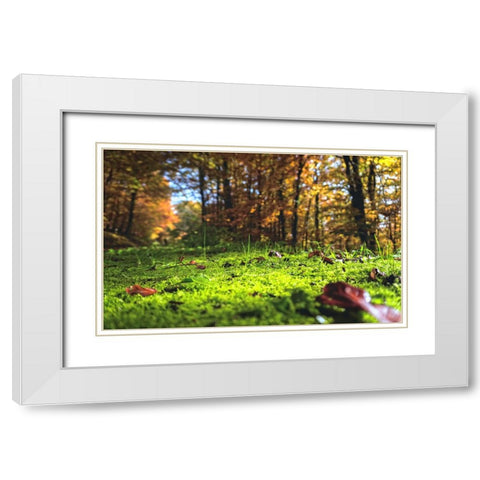 Trees 25 White Modern Wood Framed Art Print with Double Matting by Lee, Rachel