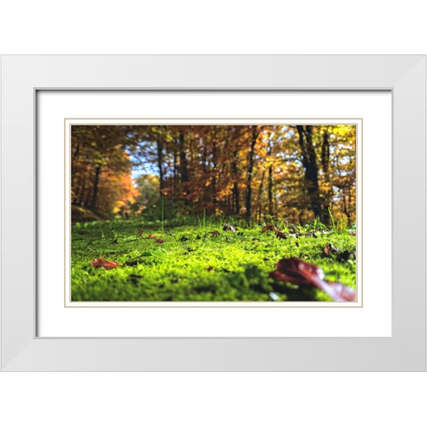 Trees 25 White Modern Wood Framed Art Print with Double Matting by Lee, Rachel