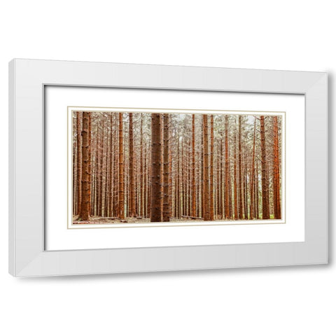 Trees 26 White Modern Wood Framed Art Print with Double Matting by Lee, Rachel