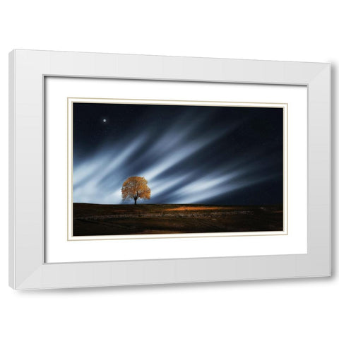 Trees 30 White Modern Wood Framed Art Print with Double Matting by Lee, Rachel