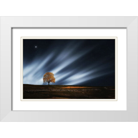 Trees 30 White Modern Wood Framed Art Print with Double Matting by Lee, Rachel