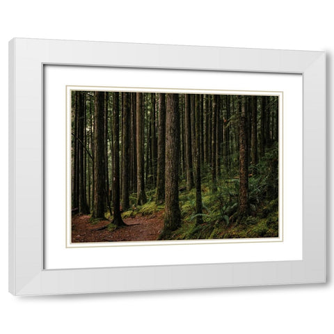 Trees 56 White Modern Wood Framed Art Print with Double Matting by Lee, Rachel