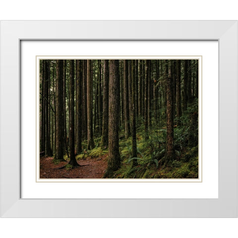 Trees 56 White Modern Wood Framed Art Print with Double Matting by Lee, Rachel