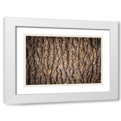 Trees 6 White Modern Wood Framed Art Print with Double Matting by Lee, Rachel
