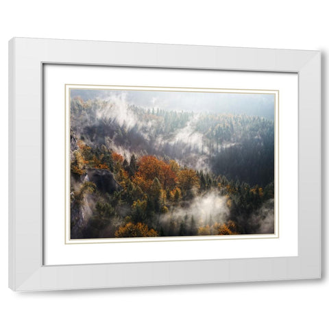 Trees 64 White Modern Wood Framed Art Print with Double Matting by Lee, Rachel