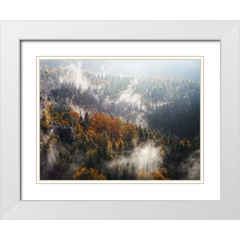 Trees 64 White Modern Wood Framed Art Print with Double Matting by Lee, Rachel