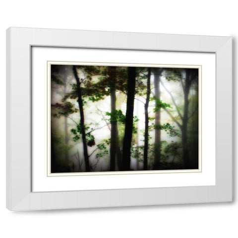 Trees 66 White Modern Wood Framed Art Print with Double Matting by Lee, Rachel