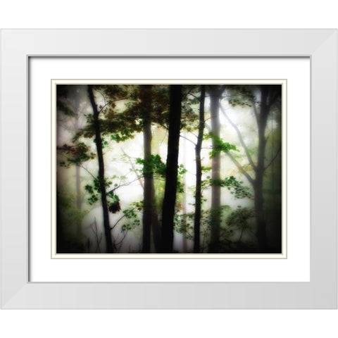 Trees 66 White Modern Wood Framed Art Print with Double Matting by Lee, Rachel