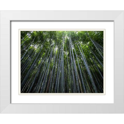 Trees 68 White Modern Wood Framed Art Print with Double Matting by Lee, Rachel