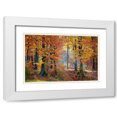 Trees 9 White Modern Wood Framed Art Print with Double Matting by Lee, Rachel