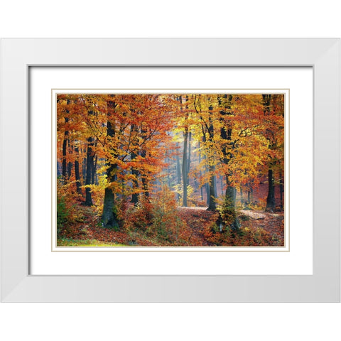 Trees 9 White Modern Wood Framed Art Print with Double Matting by Lee, Rachel