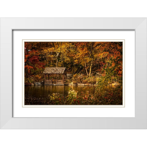 Trees And Water 2 White Modern Wood Framed Art Print with Double Matting by Lee, Rachel