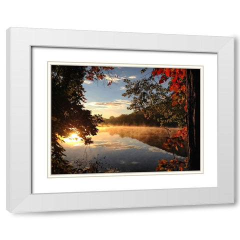 Trees and Water 4 White Modern Wood Framed Art Print with Double Matting by Lee, Rachel