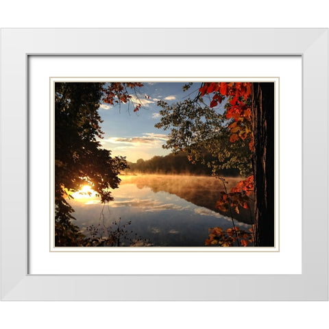 Trees and Water 4 White Modern Wood Framed Art Print with Double Matting by Lee, Rachel