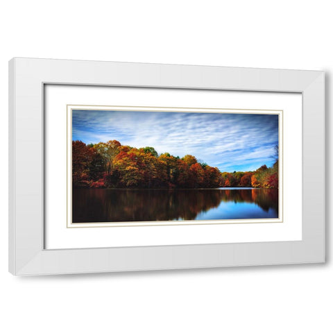 Trees and Water 5 White Modern Wood Framed Art Print with Double Matting by Lee, Rachel