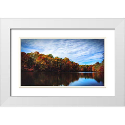 Trees and Water 5 White Modern Wood Framed Art Print with Double Matting by Lee, Rachel