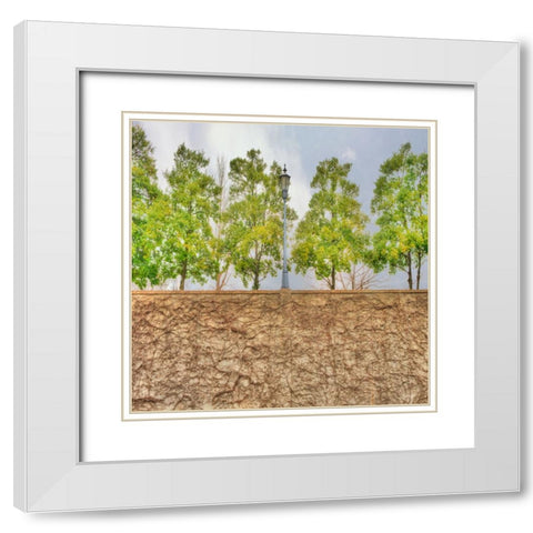 Vine Wall And Trees White Modern Wood Framed Art Print with Double Matting by Lee, Rachel