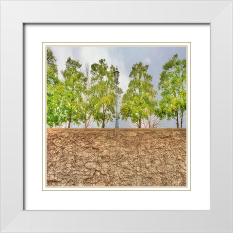 Vine Wall And Trees White Modern Wood Framed Art Print with Double Matting by Lee, Rachel