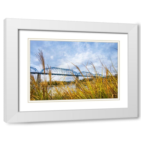 Walnut Grass White Modern Wood Framed Art Print with Double Matting by Lee, Rachel