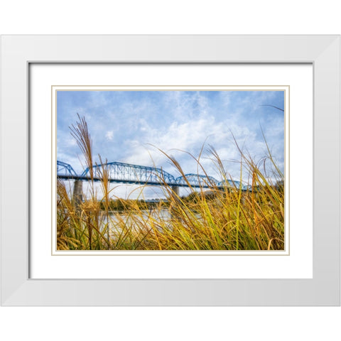 Walnut Grass White Modern Wood Framed Art Print with Double Matting by Lee, Rachel