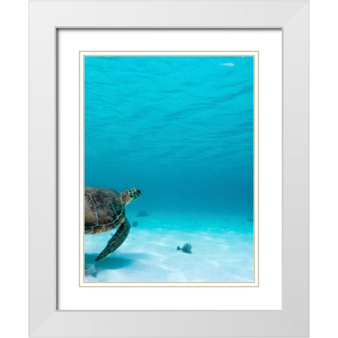 Wildlife 16 White Modern Wood Framed Art Print with Double Matting by Lee, Rachel