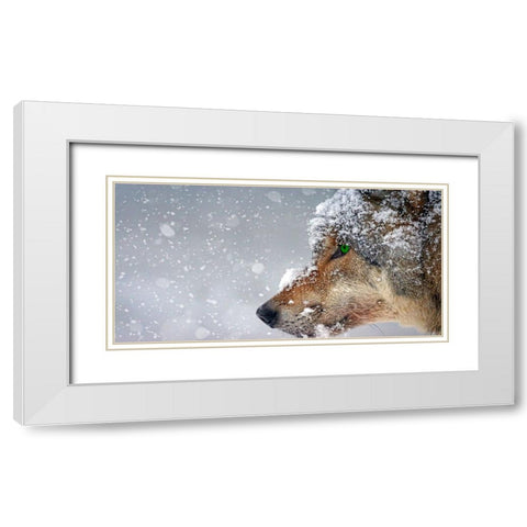 Wolf White Modern Wood Framed Art Print with Double Matting by Lee, Rachel