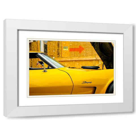 Stingray White Modern Wood Framed Art Print with Double Matting by Malone, Will