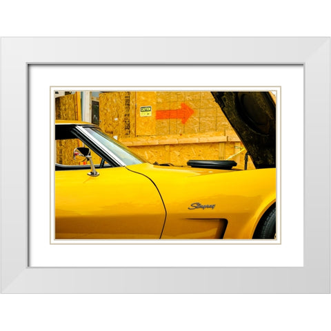 Stingray White Modern Wood Framed Art Print with Double Matting by Malone, Will
