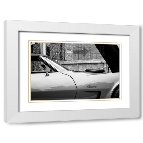 Stingray BW White Modern Wood Framed Art Print with Double Matting by Malone, Will