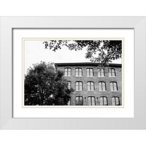 Sunny Windows BW  White Modern Wood Framed Art Print with Double Matting by Malone, Will
