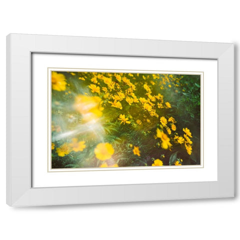 Springtime White Modern Wood Framed Art Print with Double Matting by Malone, Will