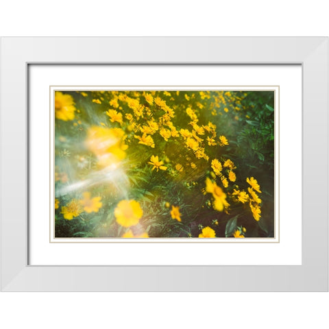 Springtime White Modern Wood Framed Art Print with Double Matting by Malone, Will