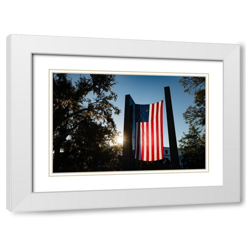 America 2 White Modern Wood Framed Art Print with Double Matting by Malone, Will