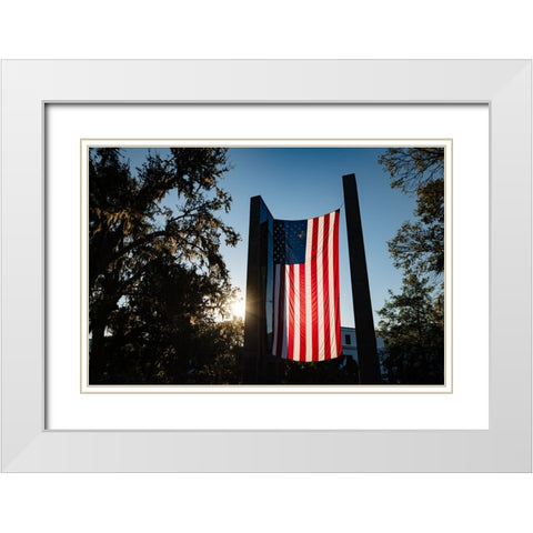 America 2 White Modern Wood Framed Art Print with Double Matting by Malone, Will