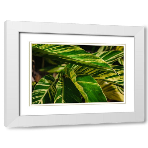 Green White Modern Wood Framed Art Print with Double Matting by Malone, Will