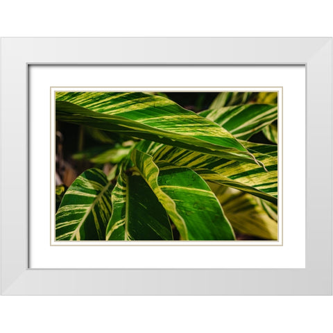 Green White Modern Wood Framed Art Print with Double Matting by Malone, Will