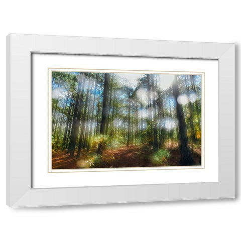 Blurry Forest White Modern Wood Framed Art Print with Double Matting by Malone, Will