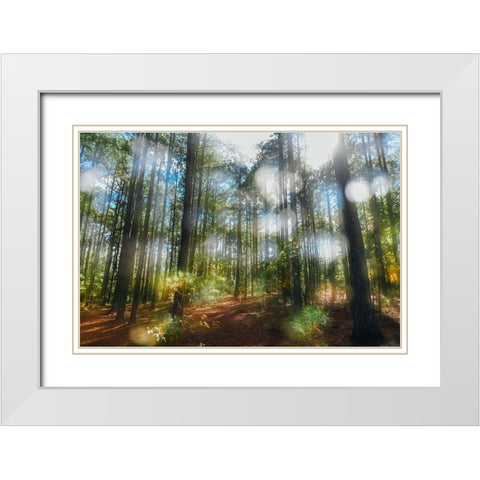 Blurry Forest White Modern Wood Framed Art Print with Double Matting by Malone, Will