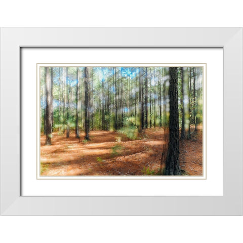 Blurry Forest 2 White Modern Wood Framed Art Print with Double Matting by Malone, Will