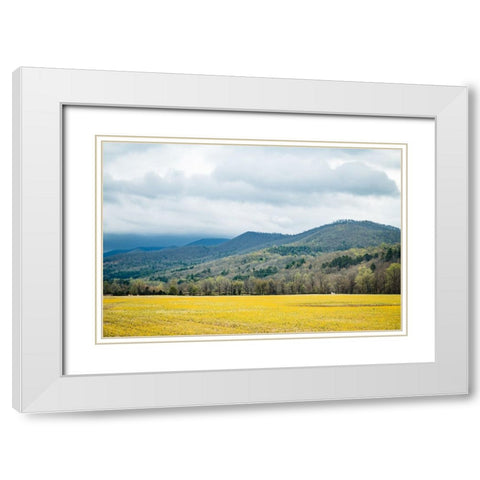 Yellow Fields White Modern Wood Framed Art Print with Double Matting by Malone, Will