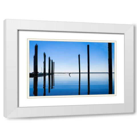 Take Flight White Modern Wood Framed Art Print with Double Matting by Malone, Will