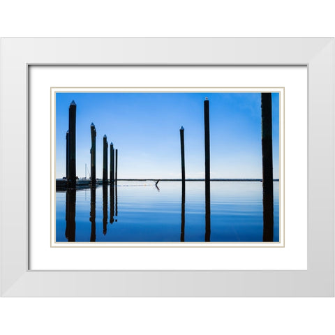 Take Flight White Modern Wood Framed Art Print with Double Matting by Malone, Will
