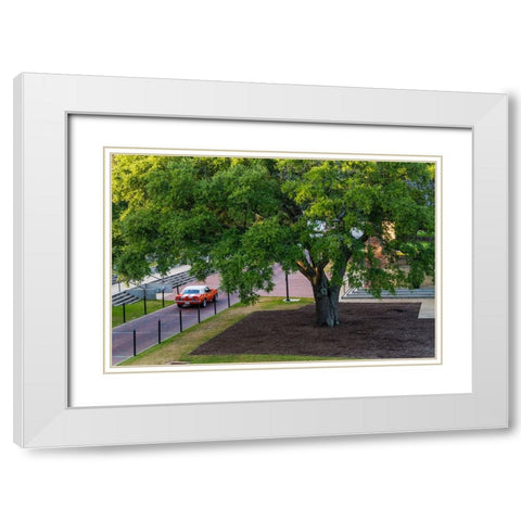 Camaro Through The Park White Modern Wood Framed Art Print with Double Matting by Malone, Will