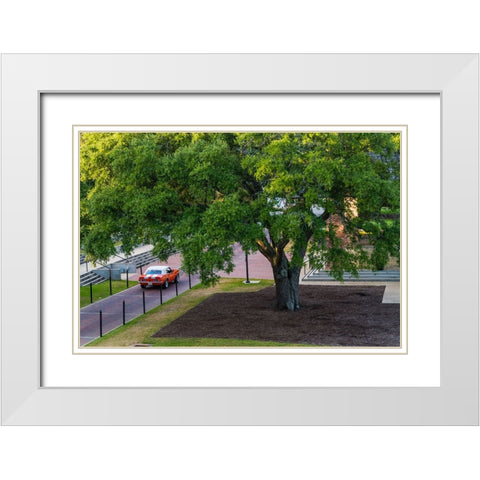 Camaro Through The Park White Modern Wood Framed Art Print with Double Matting by Malone, Will