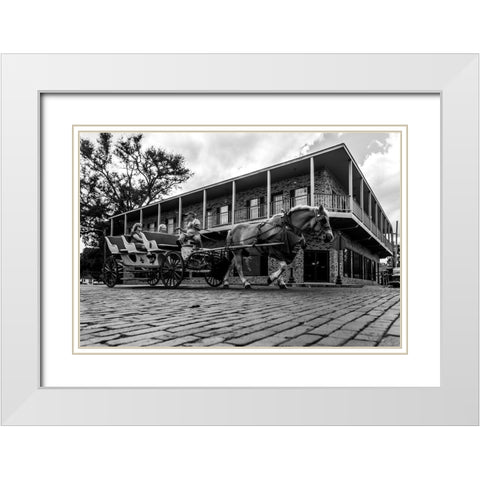 Horse Tour White Modern Wood Framed Art Print with Double Matting by Malone, Will