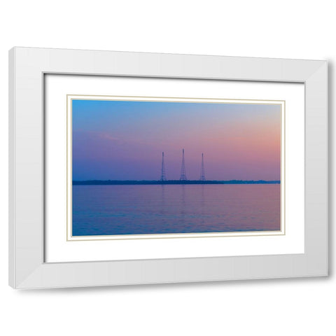 Antennae White Modern Wood Framed Art Print with Double Matting by Malone, Will
