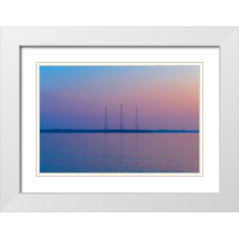 Antennae White Modern Wood Framed Art Print with Double Matting by Malone, Will