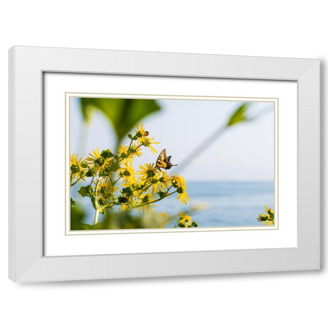 Monarch White Modern Wood Framed Art Print with Double Matting by Malone, Will