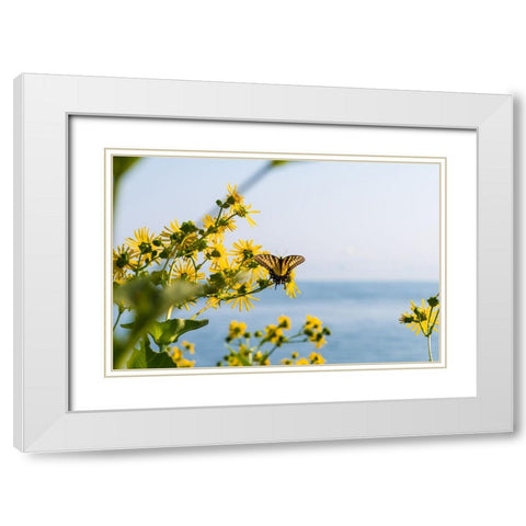 Monarch 2 White Modern Wood Framed Art Print with Double Matting by Malone, Will