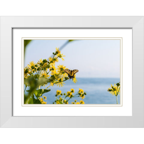 Monarch 2 White Modern Wood Framed Art Print with Double Matting by Malone, Will